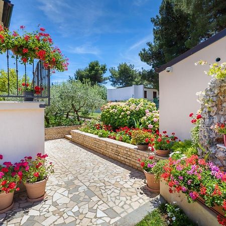Apartments Hortensia Pula Exterior photo