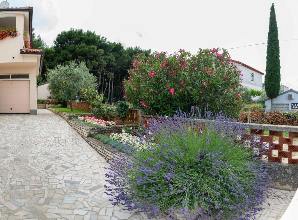 Apartments Hortensia Pula Exterior photo